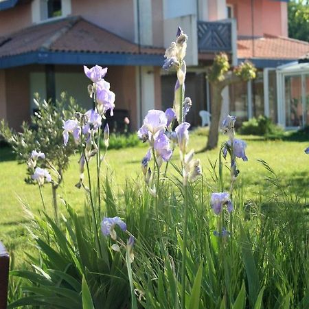 Villa Helianthe Audenge Ngoại thất bức ảnh