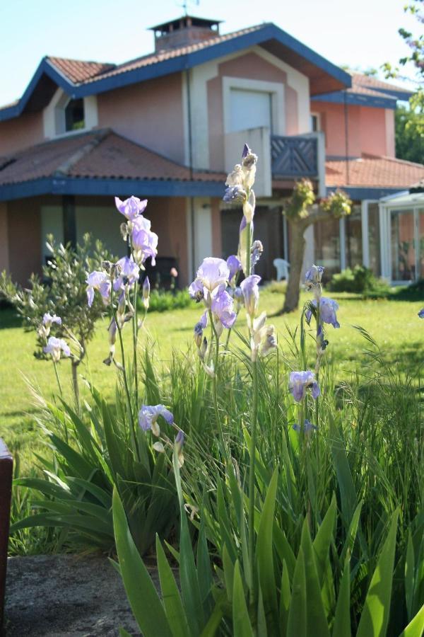 Villa Helianthe Audenge Ngoại thất bức ảnh